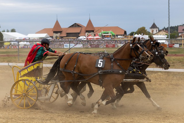 赫罗纳右后 赫罗纳右后
